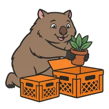 Wal packing a plant into an orange moving crate